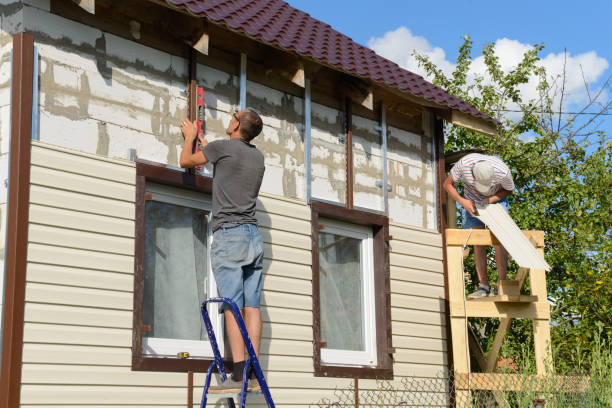 Best Custom Siding Design  in Renton, WA